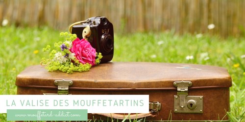 La valise des mouffetartins