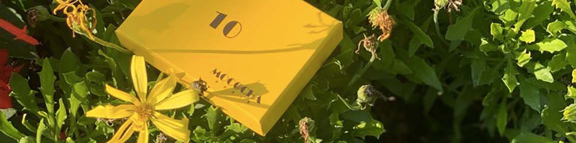 MOCOCHA : chocolaterie&nbsp;parisienne