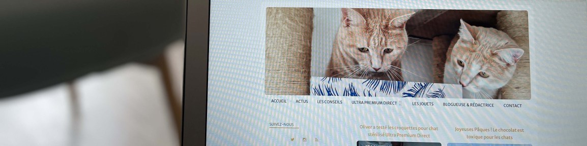 PORTRAIT D&rsquo;ENTREPRENEUR :&nbsp;Céline